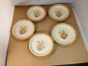 Mikasa Whole Wheat Granola 8" Salad Plates E8001 Set Of 5 - Picture 1 of 5