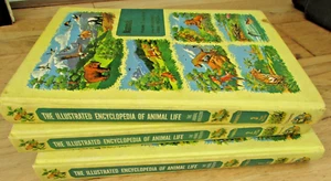 The Illustrated Encyclopedia of Animal Life - Mammals Vol 1, 2 & 3- 1970's - Picture 1 of 6