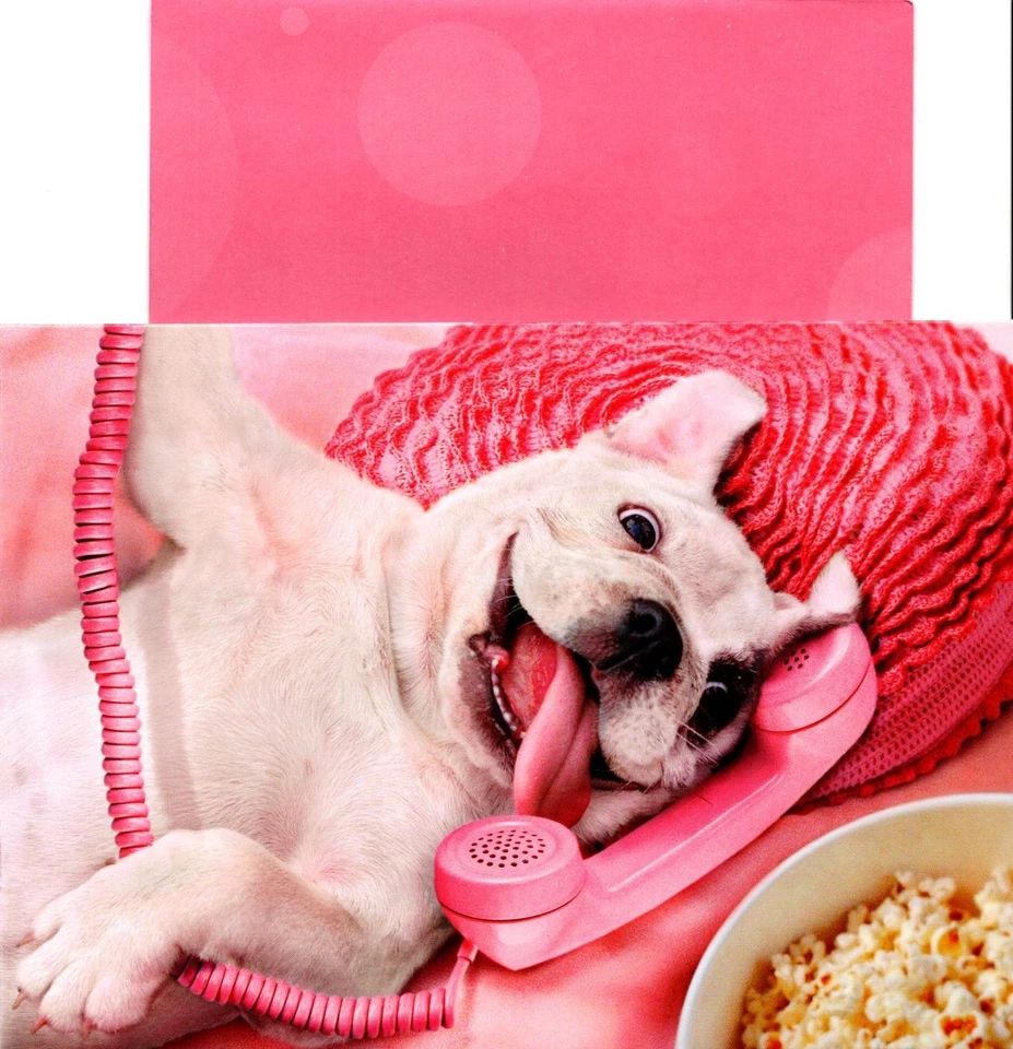 Funny American Bulldog Friendship Not Gossip Listen Closely Greeting Card  - Image 1 of 3