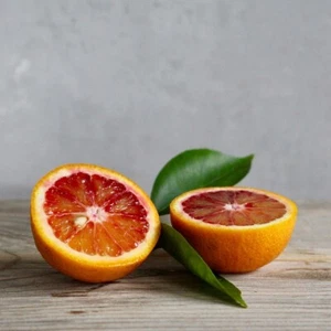 Tarocco-Blutorange Citrus sinensis Tarokko Mediterraner 120-160 cm Garten - Bild 1 von 3