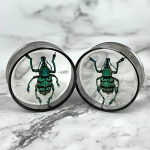 Embedded Blue and Green Weevil Double Flare Plugs (MTO-038) gauges pair handmade - Picture 1 of 3