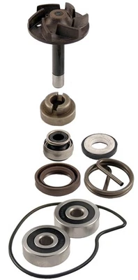 Wasserpumpe Reparatur Satz RMS für Piaggio Beverly 250 — 第 1/2 张图片