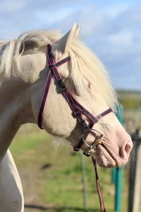 Official Libby's Click Bridle & Reins Set in Miniature Small Pony Pony Cob Full - Picture 1 of 3