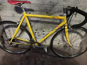 Pinarello Maxim Alu By Pegoretti - Imagen 1 de 12