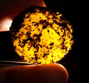 Melon Shape Natural Certified Yellow Sapphire Gemstone Rough - Picture 1 of 7
