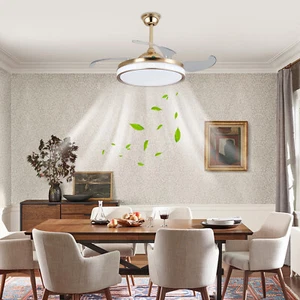Modern Ceiling Fan Light Kit with Remote Control, Timing Ceiling Fan Lamp - Picture 1 of 20