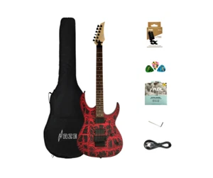 Haze Solidwood body 6-String Electric Guitar+Free accessories - HCJS19600 - Picture 1 of 22