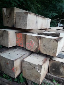 Eichenklotz 40x40 cm , Eichenbalken Kanthölzer aus Eiche, Kantholz, lfdm. - Bild 1 von 3