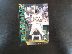 2004 Choice Myrtle Beach Pelicans # 27 Wes Timmons Card (B17) Atlanta Braves