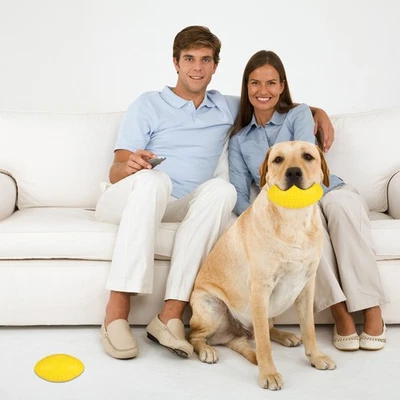  Molar Toy Dog Chewing Toys American Football Rugby Educational Cleaning - Image 1 of 4