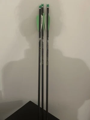 TenPoint Pro Elite 400 碳箭 20 带 Alpha Nocks 0.003 wt 3 箭 — 第 1/4 张图片