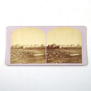 Shaker Stereoview Card Views of Concord and Vicinity N.H. - Picture 1 of 5