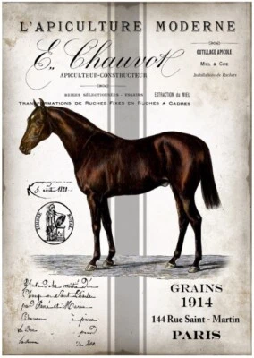 BÜGELBILD-Vintage-Shabby-Nostalgie-French-Pferd-Horse-3255 - Bild 1 von 2