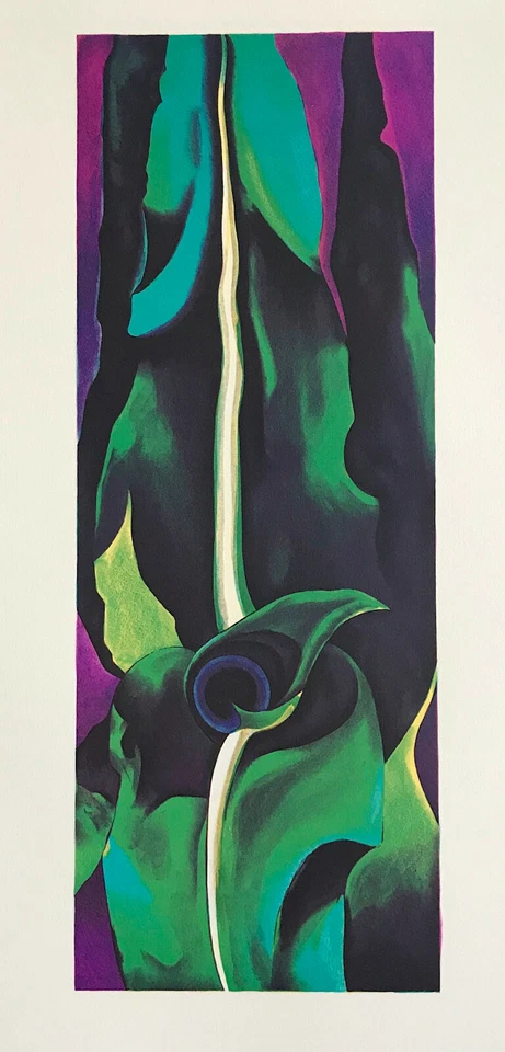 Georgia O'Keeffe CORN 1924 石版画,深紫色绿色植物摘要  — 第 1/4 张图片