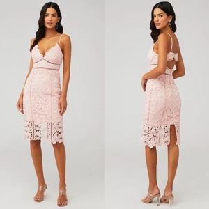 Bardot Botanica Lace Dress Womens Size 6 Pink Sleeveless Sheath Dress Wedding - Picture 1 of 9