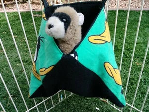 Frettchen Ecksack - Daffy Duck - Bild 1 von 6