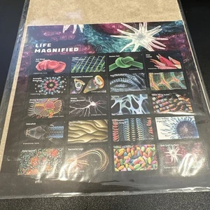 Scott #5802 a-t 2023, Forever, Life Magnified - MNH - Hoja completa de 20 estampillas S39 - Imagen 1 de 5