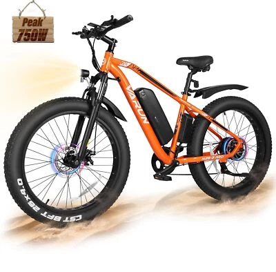 Bicicleta eléctrica de montaña VARUN Fat Tire E Bikes Peak 750W 48V 13AH 26 pulgadas Foto 1 de 4