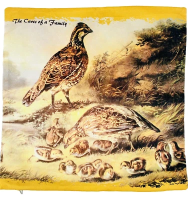 Juego de 2 fundas de almohada cuadradas codornices Western Lodge dorado marrón 18 X 18 SIN USAR Foto 1 de 4