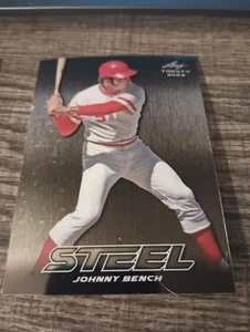 Mega caja Leaf Trinity 2023 acero plata estrellas y puntos Johnny Bench #S-39 patio - Imagen 1 de 1