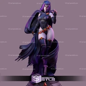 3D Print - Raven and Cloak 3D Model - Custom Resin Statue - 9 inch- DC Gray - Picture 1 of 2