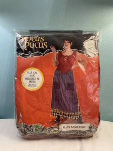 Usado en Excelente Condición Disney Hocus Pocus Mary Sanderson Disfraz, Peluca y Accesorios Talla Plus XXL - Imagen 1 de 15