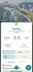 Shiny Deerling Summer Water Festival 2025 Background - P T C 0R Trade - Picture 1 of 1