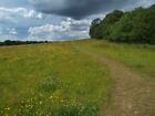 Photo 6X4 Obelisk Park Path Wragby/Se4117 The Extensive Wildflower Meado C2009