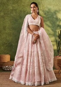 Light Pink Embroidered Organza Lehenga - Picture 1 of 3