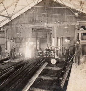 Vue stéréo Tirage Albuminé "Grumes pour la fabrication du papier" Pestalozzi - Picture 1 of 2