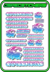 CAPRICORN RC STICKER A5 LAB 1/8 F1 1/10 TESLA ELECTRIC NITRO CAR HARD BLU PNK W - Picture 1 of 9