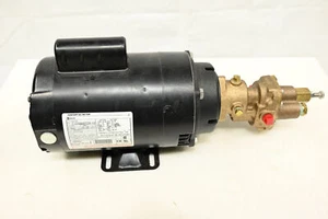 Pompa ad ingranaggi rotativi DAYTON: bronzo, 115/230V AC, 3/8 in porte -1HP motore - Foto 1 di 7