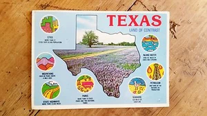 Vintage TEXAS Postcard / The Lonestar State / Land of Contrast - Picture 1 of 4