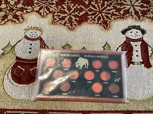 Capital Plastic Holder For US Buffalo Nickels 1934 - 1938D Meteor Collector Gift - Picture 1 of 2