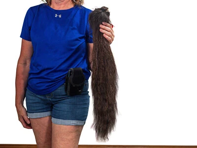 Cola de caballo islandesa real curtida (18-06VT-G6297) Y1H Foto 1 de 4