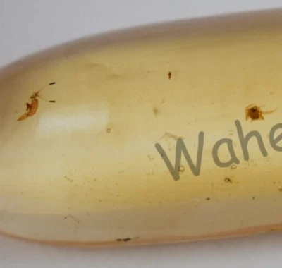 49.00 Ct 100% Natural Yellow Amber Insect Inclusion Certified Loose Gemstone - Image 1 of 4