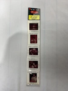Vintage Dexter Super 35’s Neil Armstrong Air & Space Museum Slides Ohio - Picture 1 of 6