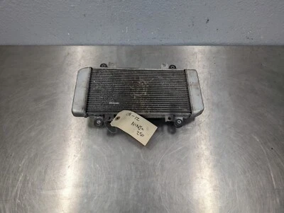 Kawasaki Ninja 250 250R Ex250 2008-2012 motor radiador motor refrigeración Foto 1 de 4