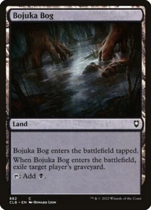 1x Bojuka Bog - Casi nuevo - Battle for Baldur's Gate SPARROW MAGIC de colección - Imagen 1 de 1