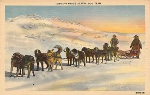 Postkarte AK: Berühmtes Alaska Hundegespann, Leinen, unbespielt - Bild 1 von 2