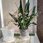 Mesh Pot Root Control Orchid Flower Breathable Growth Container Orchid Pot