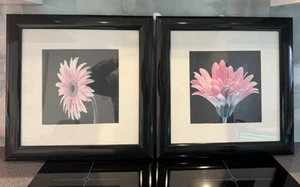 2 X Framed Flower Prints 37cm Square - Picture 1 of 5