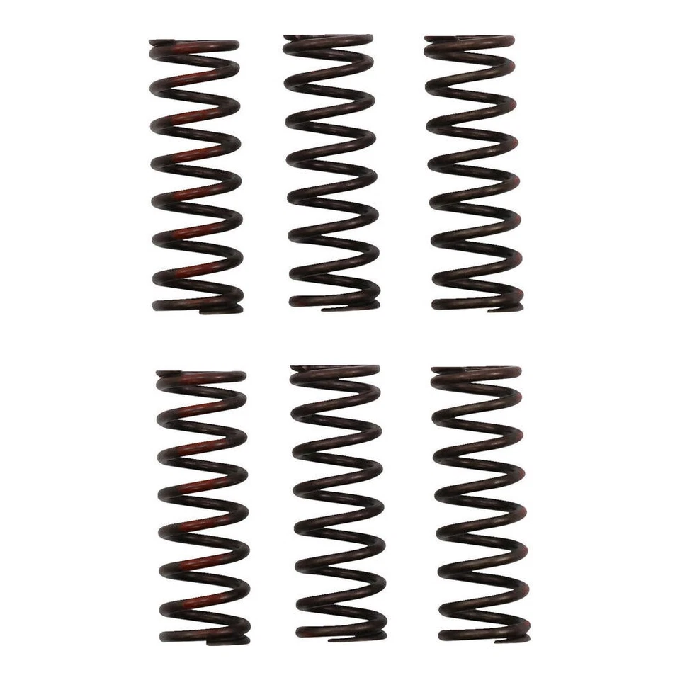 Juego de muelles de embrague Pro Circuit CLUTCH SPRING CRF450R Foto 1 de 4