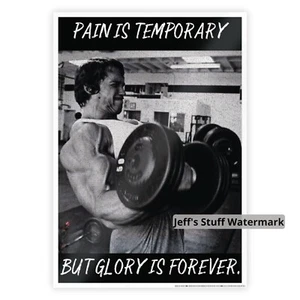 Arnold Schwarzenegger Motivational Poster Inspirational Wall Art Print 11.7x16.5 - Picture 1 of 5