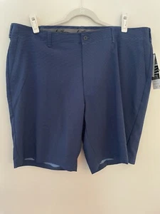 NWT Men's Ben Hogan Sz 42 Performance Stretch Waistband Blue Golf Shorts Stripe - Picture 1 of 9
