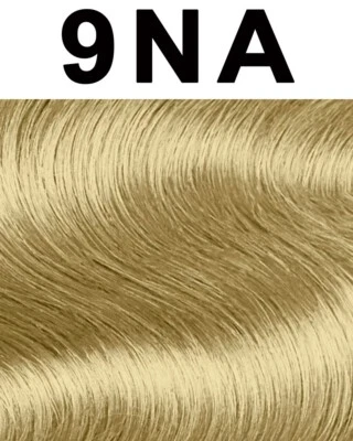 Goldwell TOPCHIC Hair Color CAN Light Natural Ash Blonde 9NA  8oz/250g - Image 1 of 2