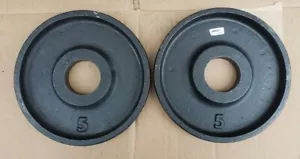 IVANKO Olympic TWO 5lb weight plates pounds gym 10lb total - Picture 1 of 2