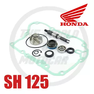 KIT/REVISIONE POMPA /ACQUA HONDA SH 125 150 I 2009 2010 2011 2012 + GUARNIZIONE - Foto 1 di 2