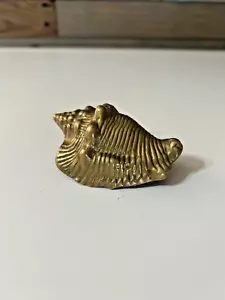 Vintage Brass Sea Shell 3.5" x 2" - Picture 1 of 3