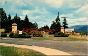 VETERANS ADMINISTRATION HOSPITAL Entrance OTEEN, North Carolina c1960 Postcard - Picture 1 of 2